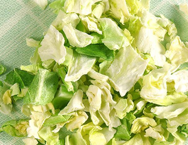 卷心菜凍干：蔬菜冷凍干燥機應(yīng)用于卷心菜凍干應(yīng)用案例