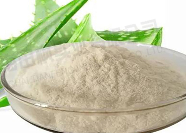蘆薈凍干，凍干粉真空冷凍干燥機應(yīng)用于蘆薈凍干
