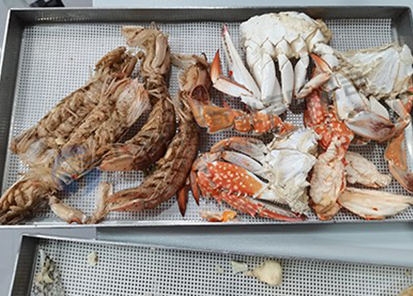 海鮮凍干機：食品真空冷凍干燥機在海鮮凍干加工和研發的設備